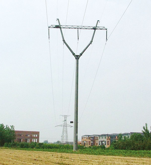 Сталь полюс